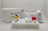Van de Diagnostische testigg Elisa Kit For Hepatitis B van het serumplasma de Kernantigeen