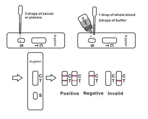 De Kruktest Kit Cassette van de antilichamen Snelle Opsporing H Pylori