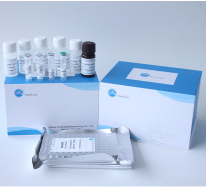 Angiotensin I Omzettend Enzym ACE Elisa Test Kit INVBIO