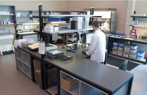 Placental de Groeifactor Elisa Test Kit van PLGF